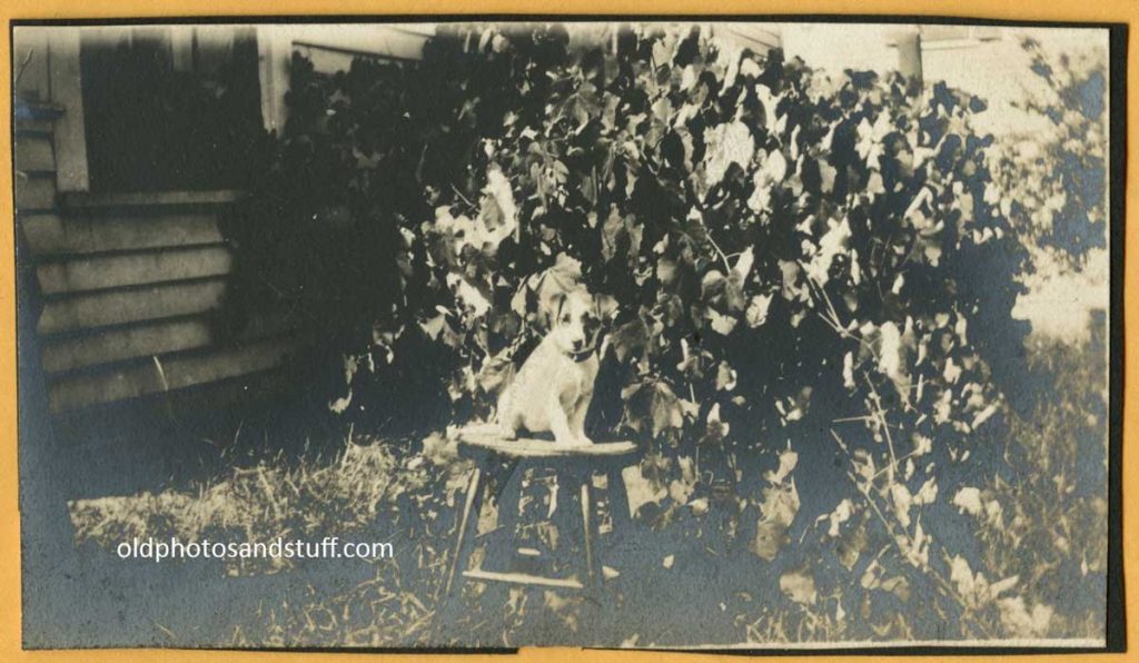 Snapshot A825 Vintage Snapshots and Old Photos For Sale